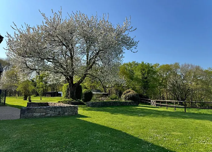 Le Domaine Du Ganquis