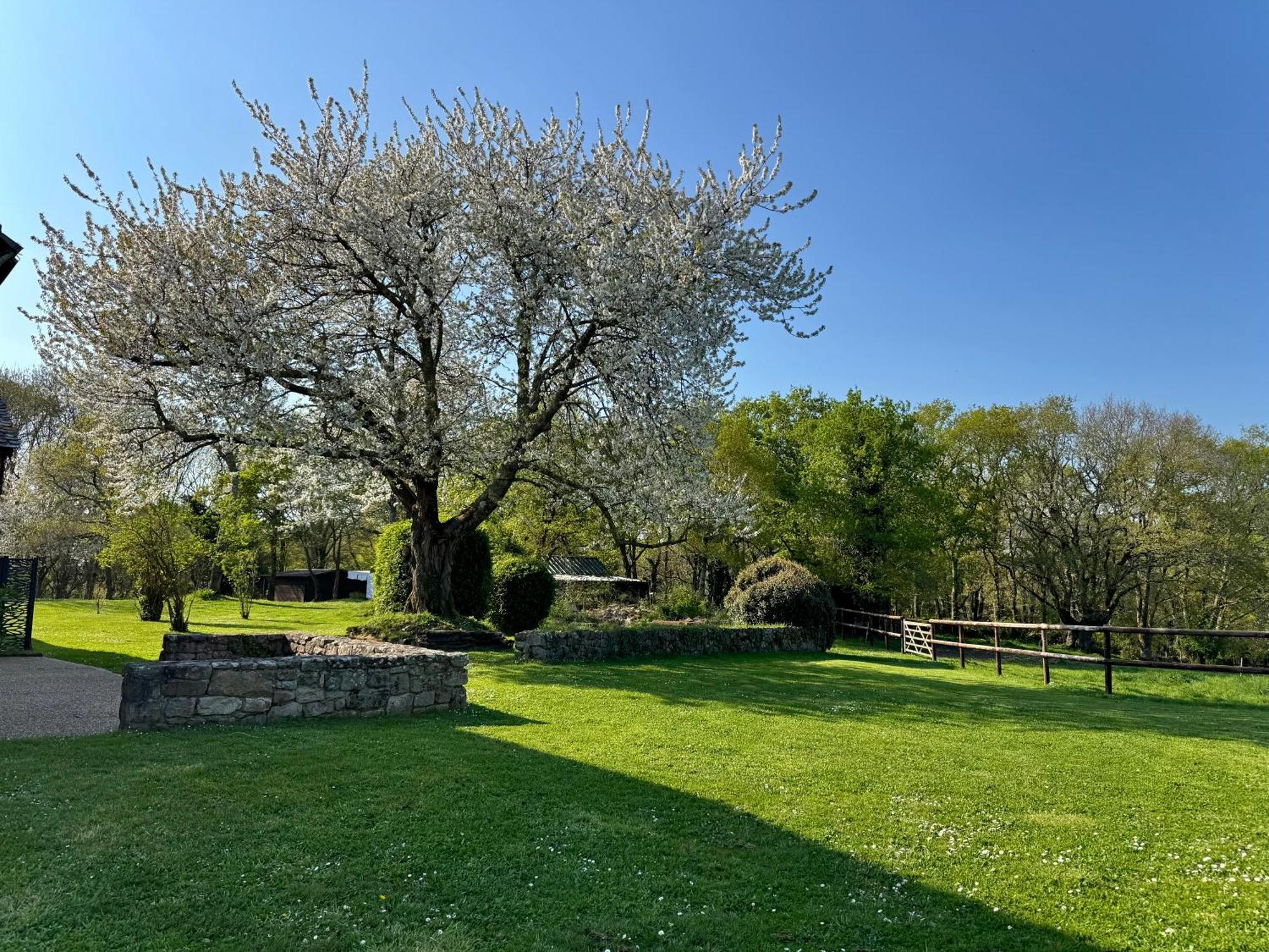 Le Domaine Du Ganquis Belz